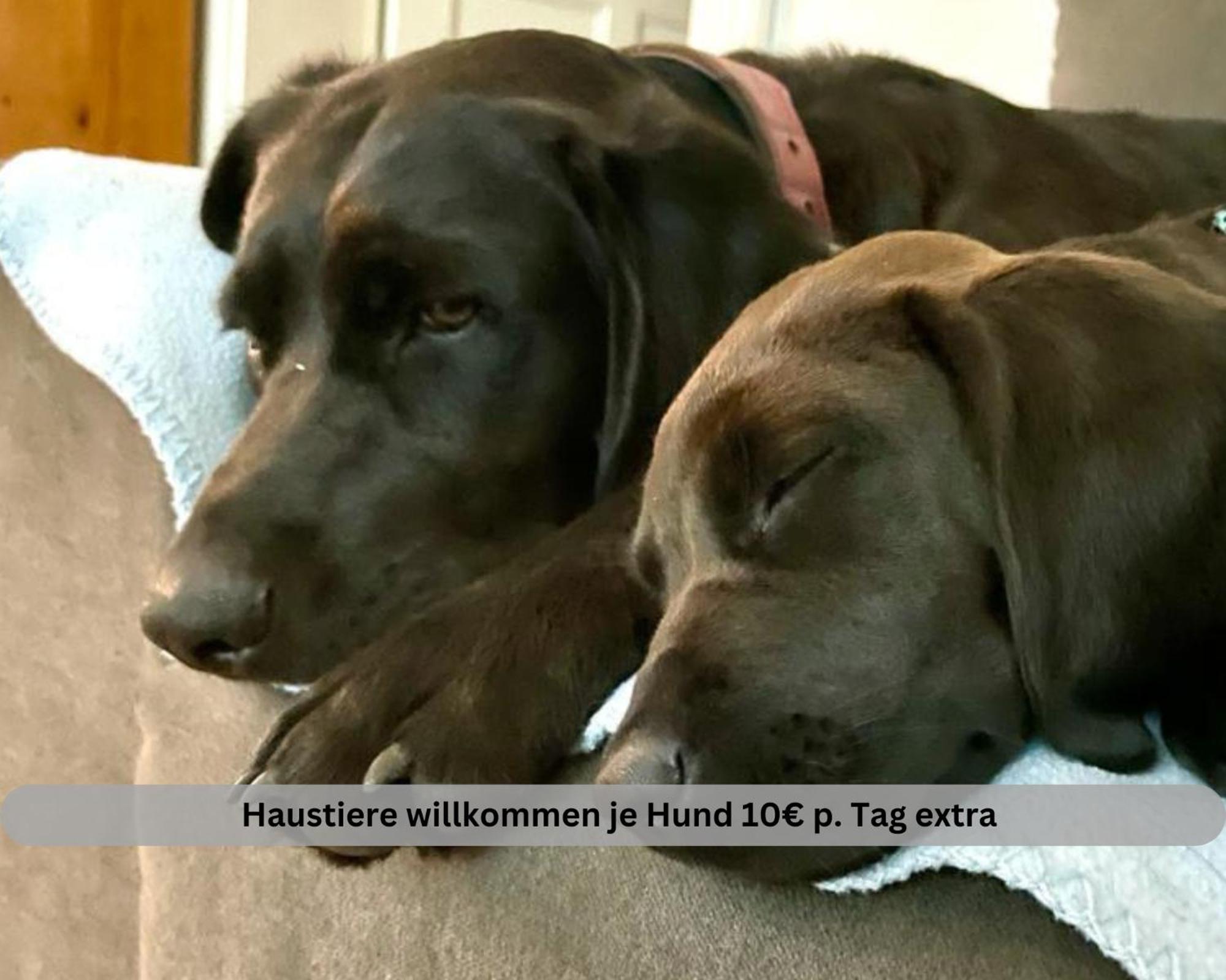 Lodge Of Africa - Einzigartige Themenzimmer, Eingezaeunten Garten, Sauna, Whirlpool & Kamin, Hunde Willkommen, Gasgrill, Voll Ausgestattete Kueche, Grosser Essbereich, Hamburg & Stade In Der Naehe Twielenfleth エクステリア 写真